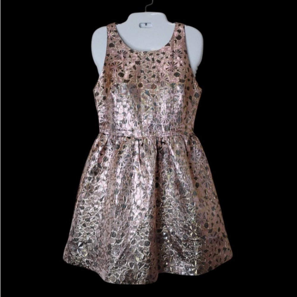 Revolve Ladakh sz 2 Pink & Gold Metallic Dress